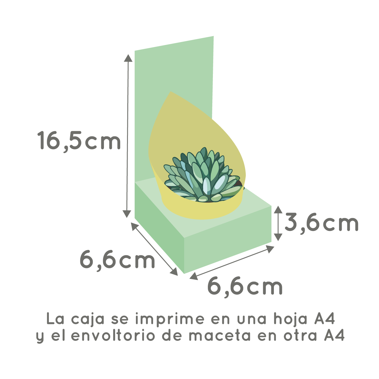 Molde caja maceta N°6 - Imagen 2