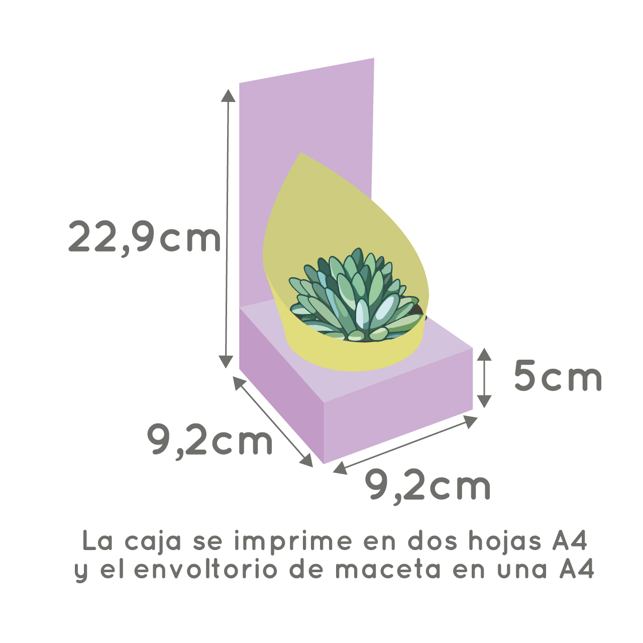 Molde caja maceta N°9 - Imagen 2