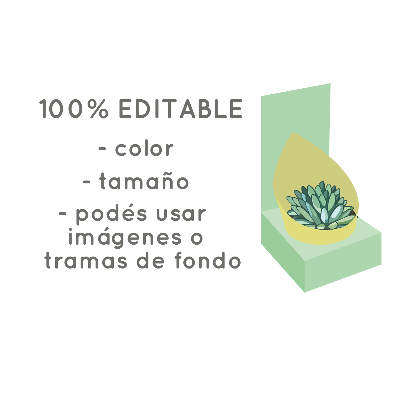 Molde caja maceta N°6 - Imagen 4