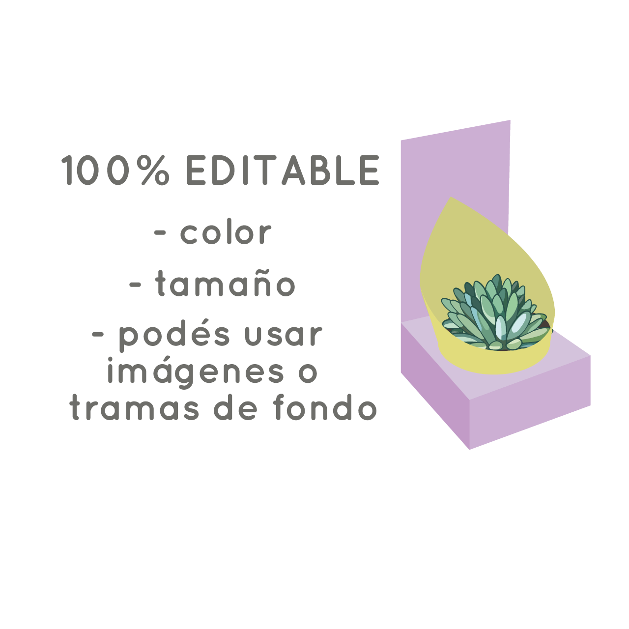 Molde caja maceta N°9 - Imagen 4